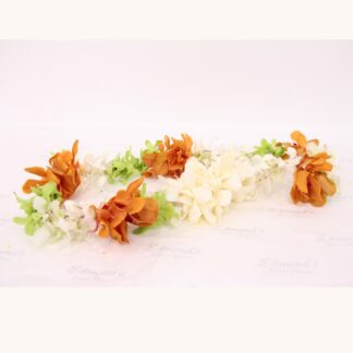 lei-1013