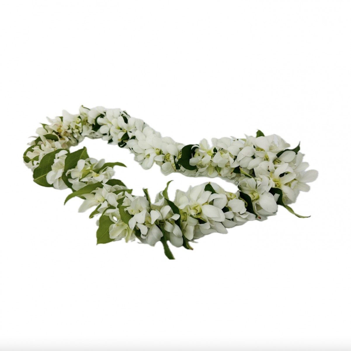 lei-4045 - Image 2