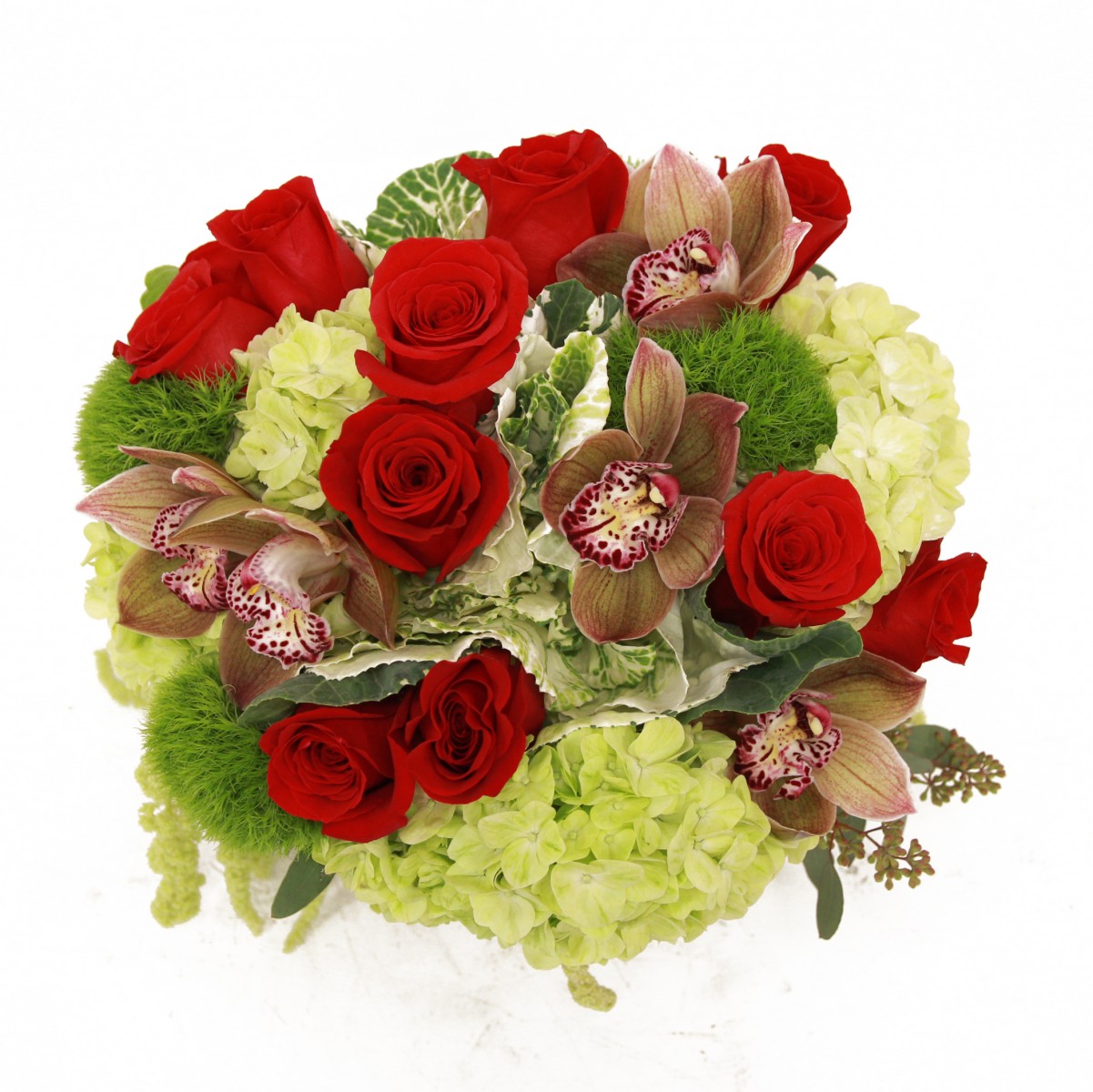scv-5198 - Image 2