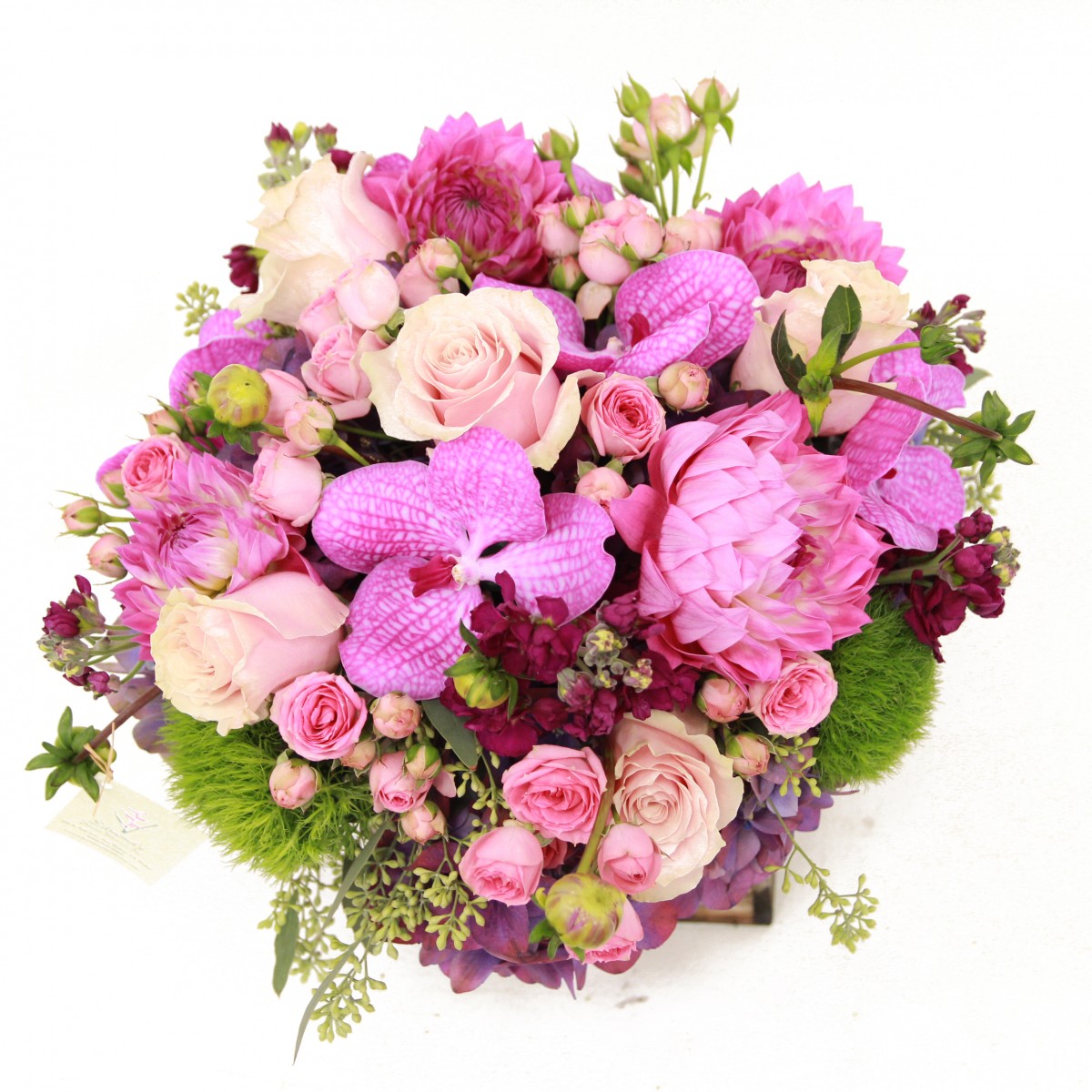 or-9989 - Image 3