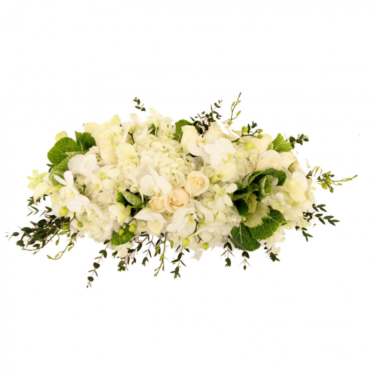 Or-6295 - Image 2