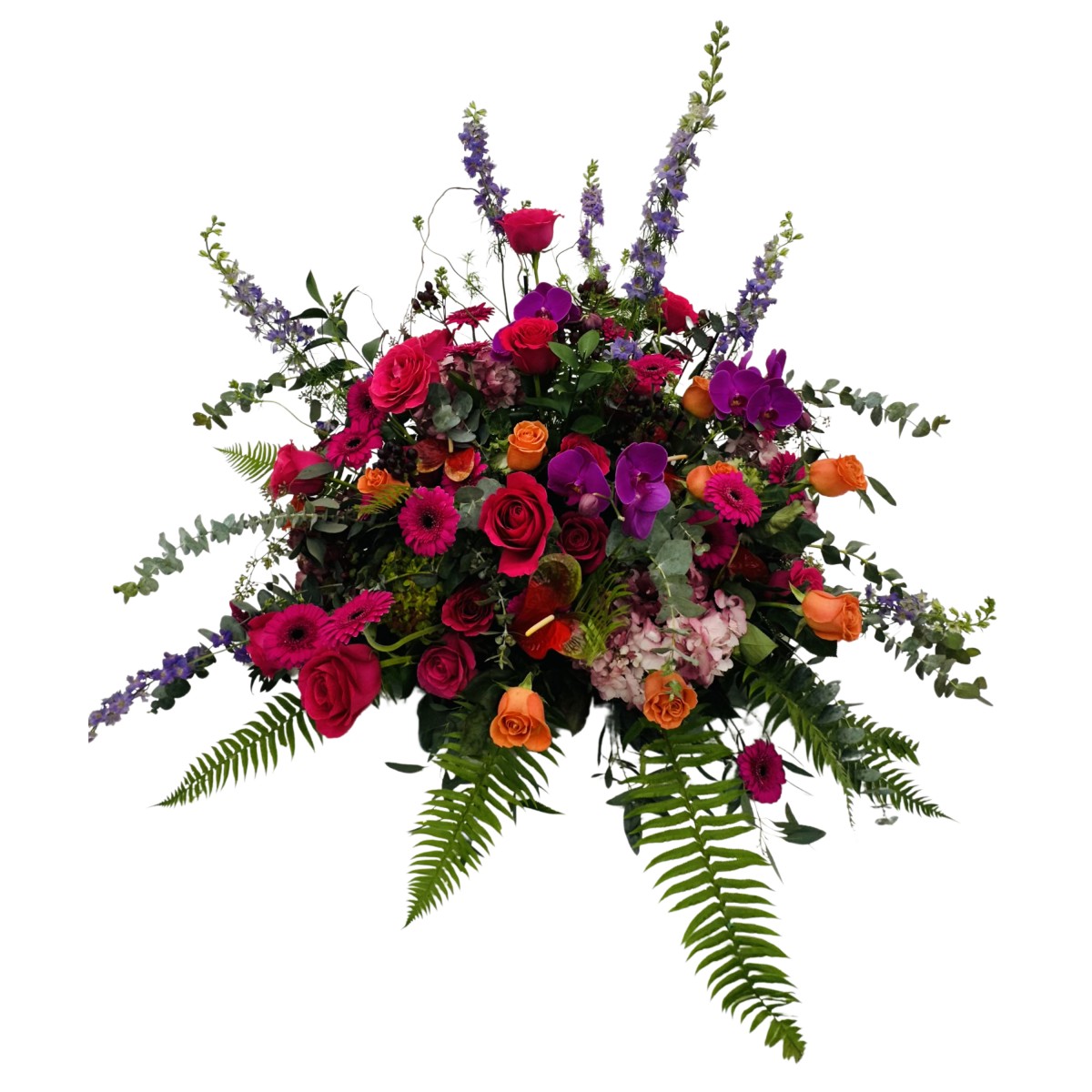 sf- 0038 - Image 2