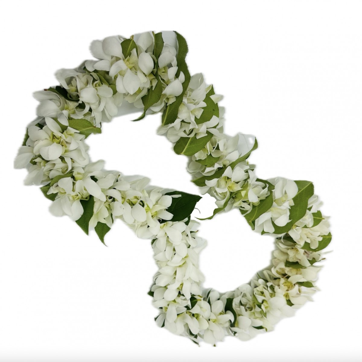 lei-4045 - Image 3