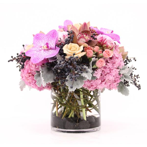 scv-1245 - Image 2