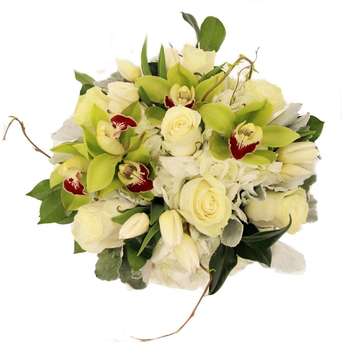scv-0106 - Image 2