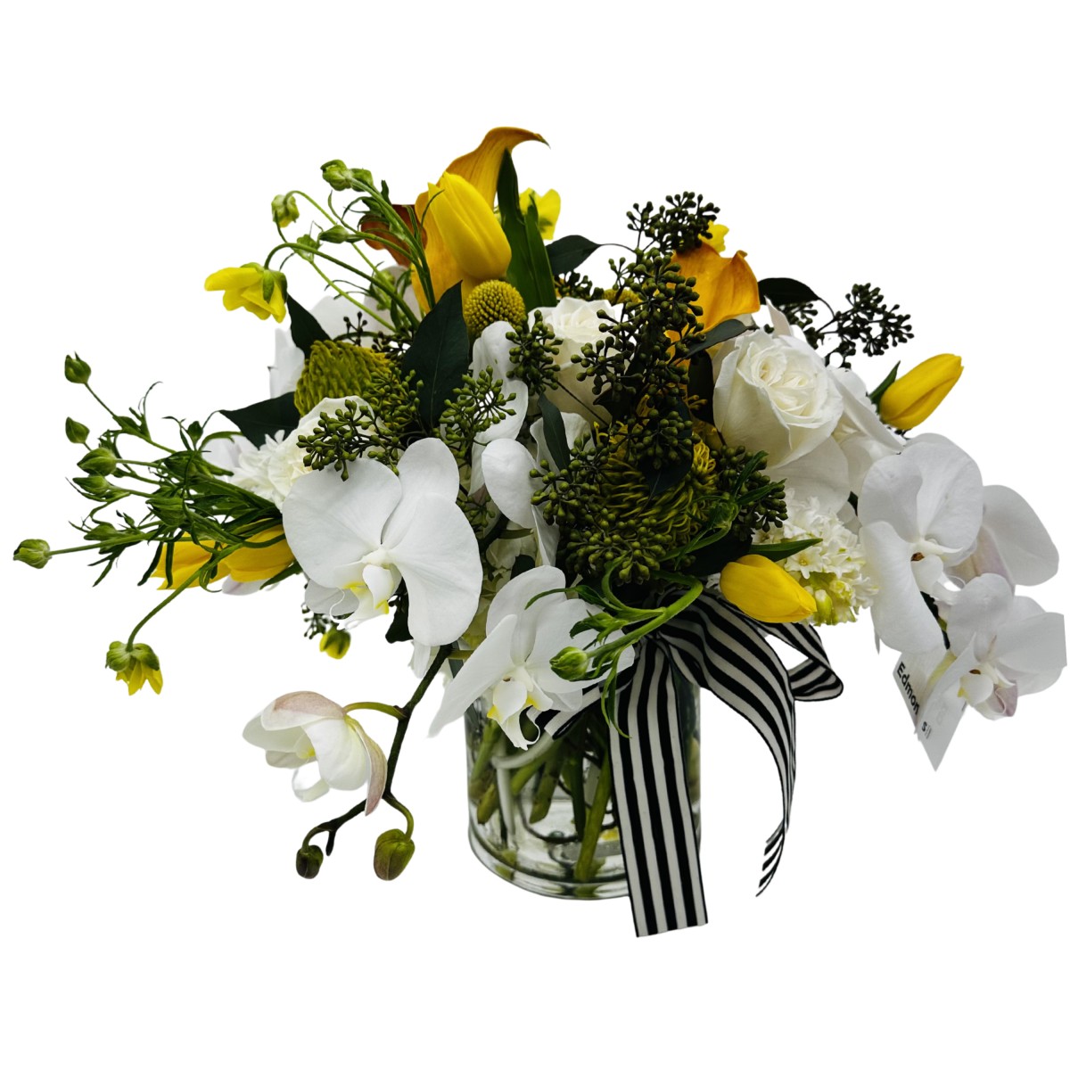 scv- 6022 - Image 3