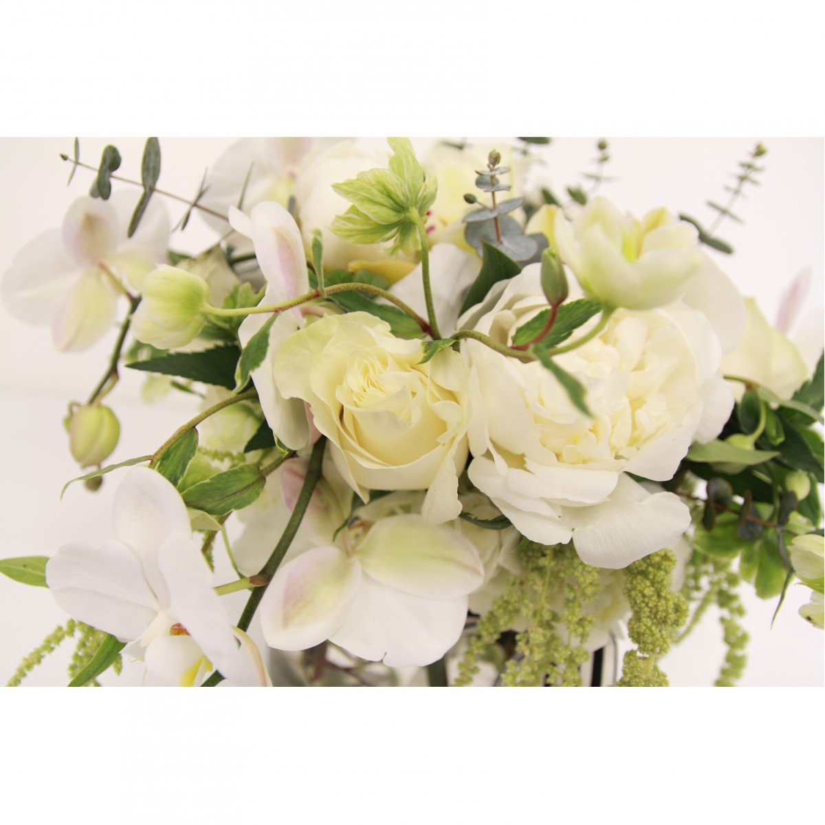 scv-1294 - Image 4