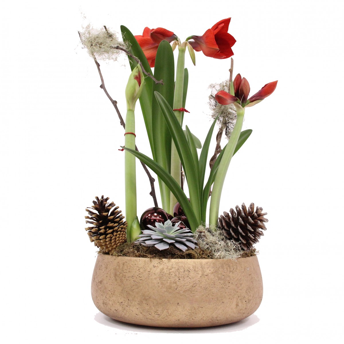 cp-0801 - Image 2