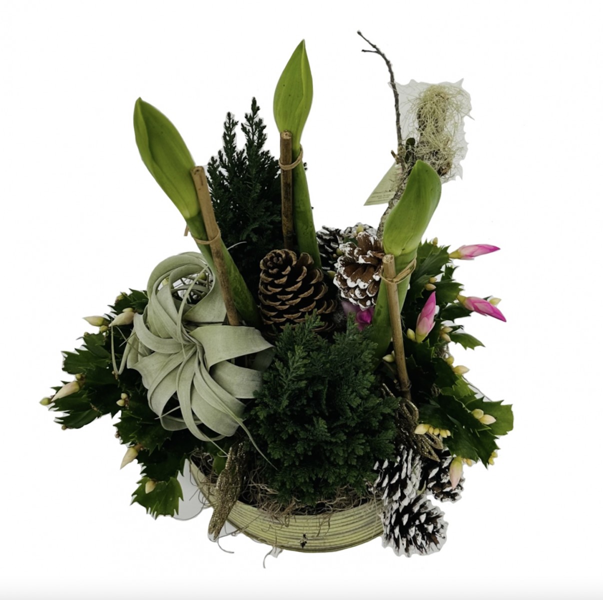 succ- 4015 - Image 2