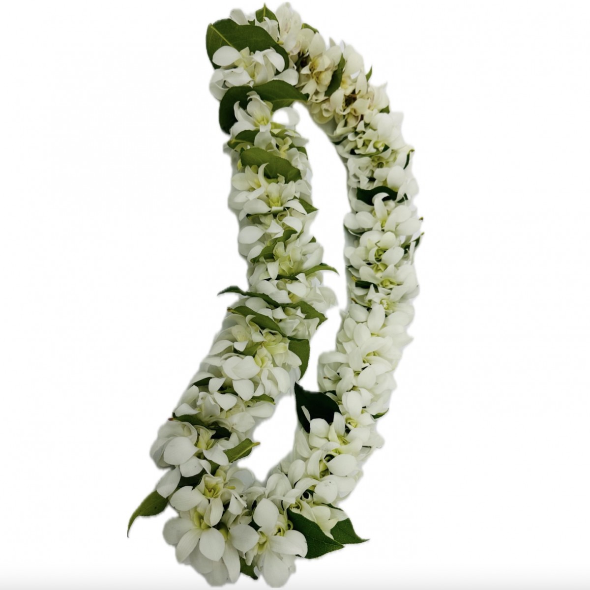 lei-4045 - Image 4