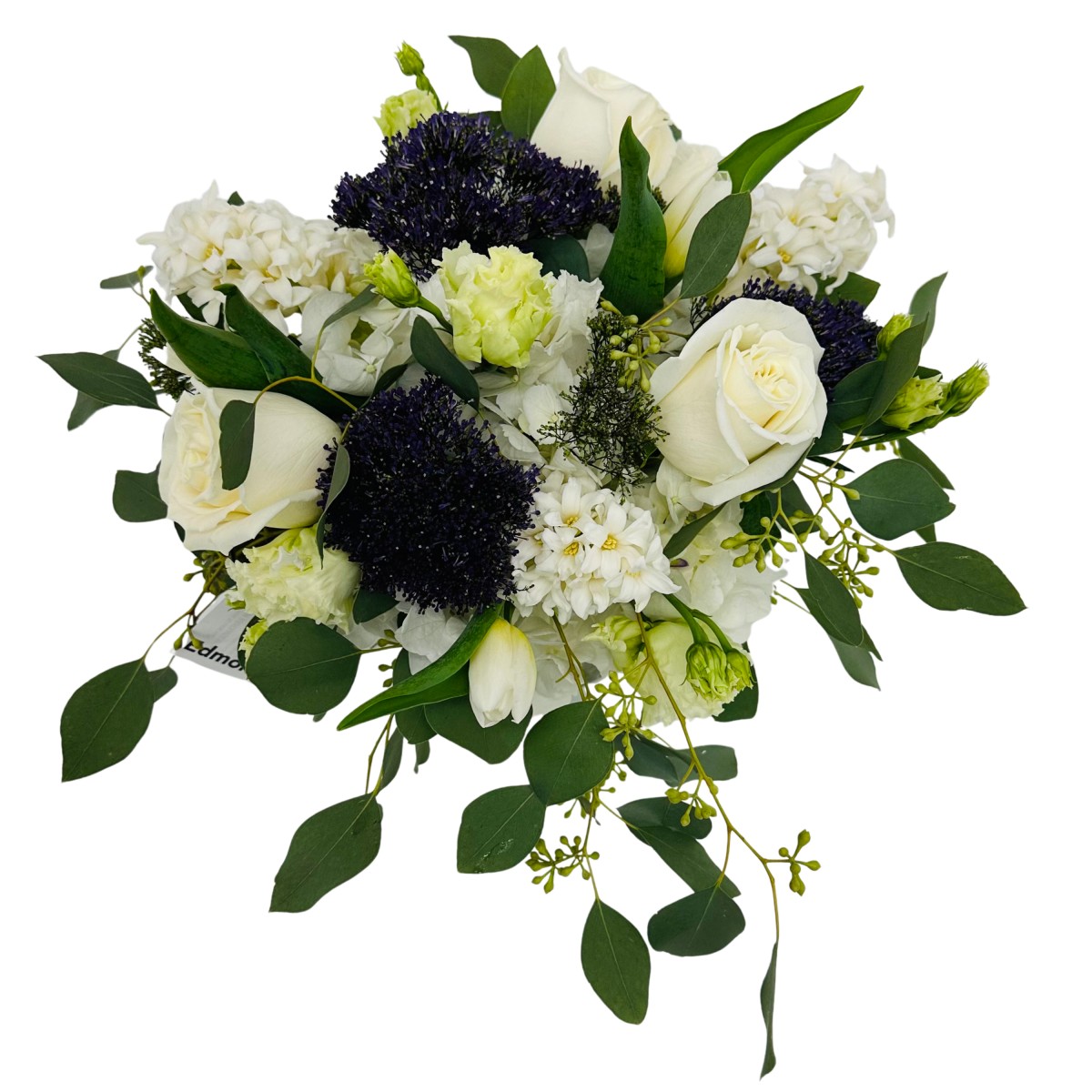 scv- 6019 - Image 3