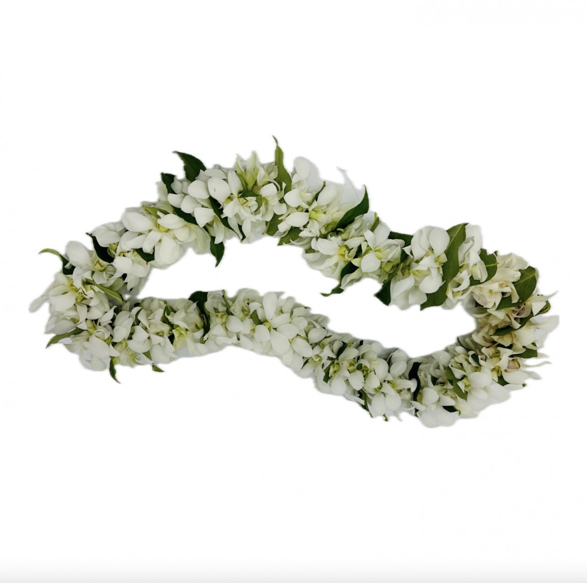lei-4045