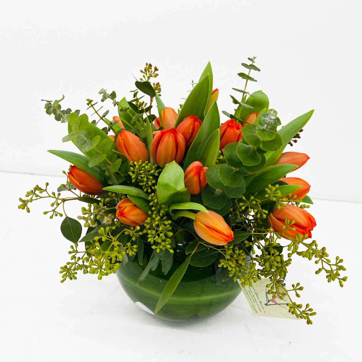 bb-0357 - Image 3