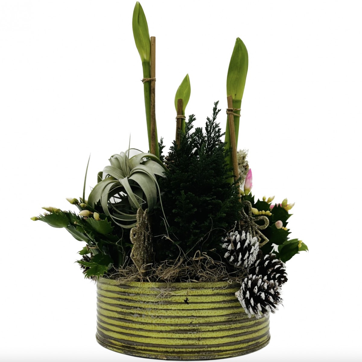 succ- 4015 - Image 3