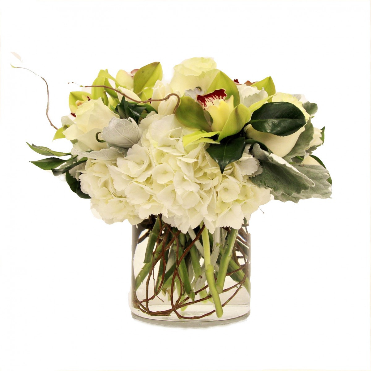 scv-0106 - Image 3